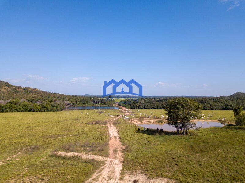 Sitio/Fazenda à Venda, 7.800 alqueires por R$ 360.000.000 Cód. ch2261