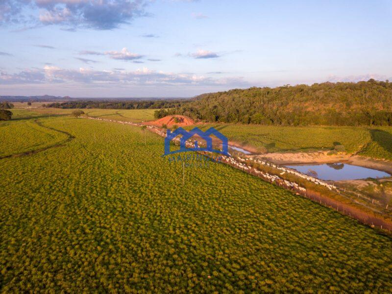 Sitio/Fazenda à Venda, 7.800 alqueires por R$ 360.000.000 Cód. ch2261