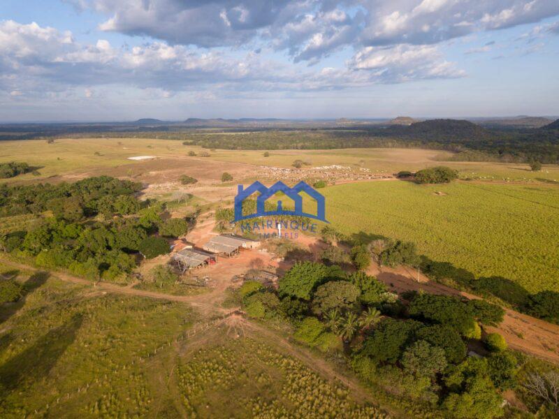 Sitio/Fazenda à Venda, 7.800 alqueires por R$ 360.000.000 Cód. ch2261