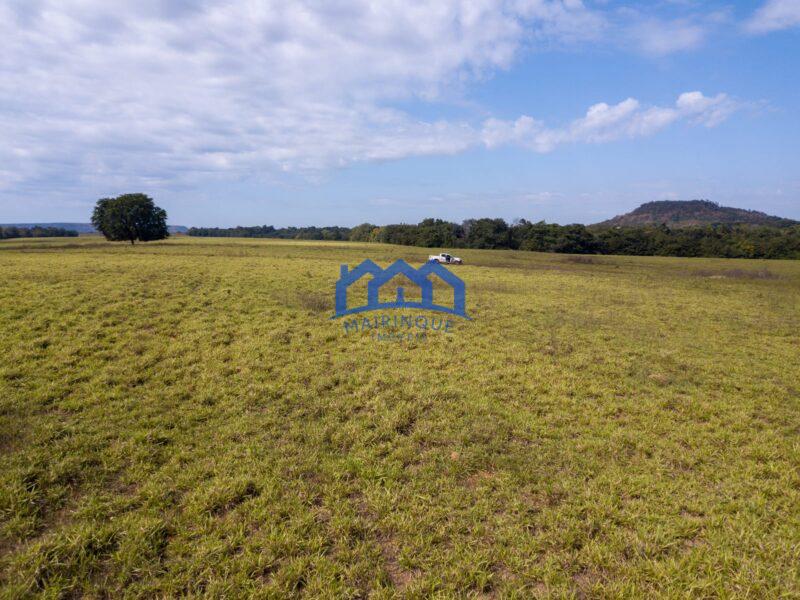 Sitio/Fazenda à Venda, 7.800 alqueires por R$ 360.000.000 Cód. ch2261