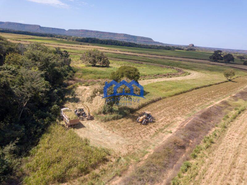 Sitio/Fazenda à Venda, 7.800 alqueires por R$ 360.000.000 Cód. ch2261
