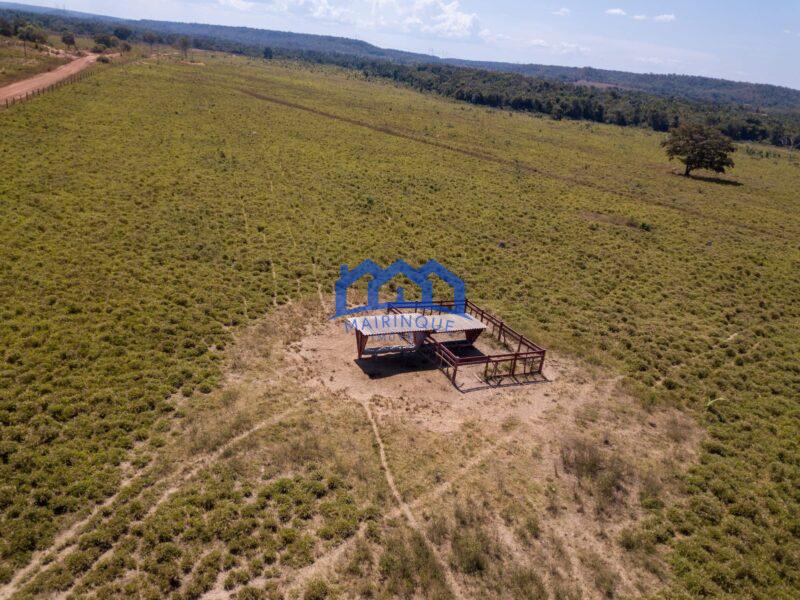 Sitio/Fazenda à Venda, 7.800 alqueires por R$ 360.000.000 Cód. ch2261