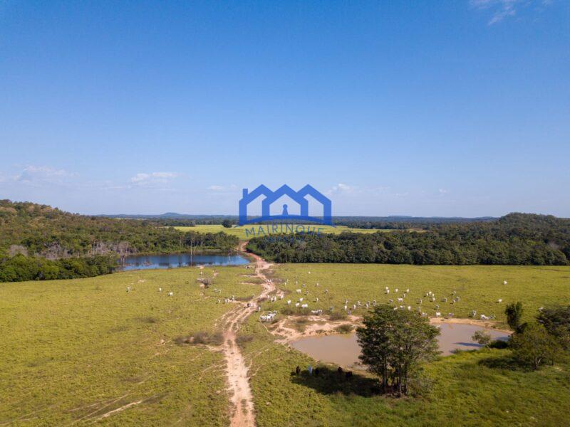 Sitio/Fazenda à Venda, 7.800 alqueires por R$ 360.000.000 Cód. ch2261