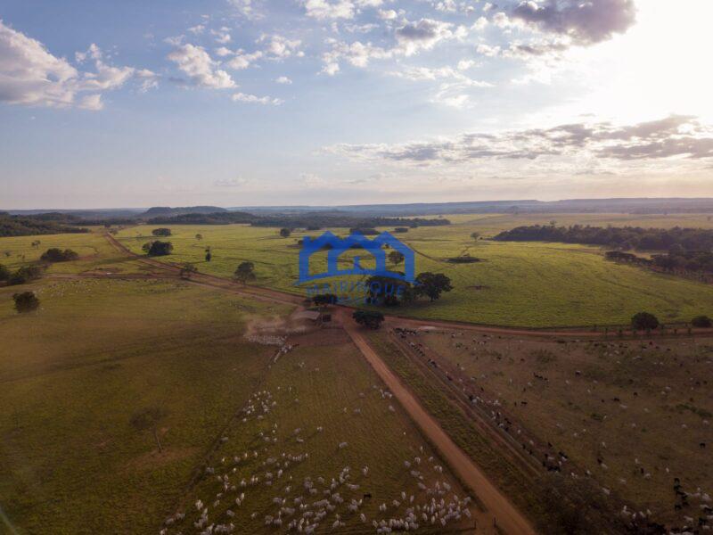 Sitio/Fazenda à Venda, 7.800 alqueires por R$ 360.000.000 Cód. ch2261