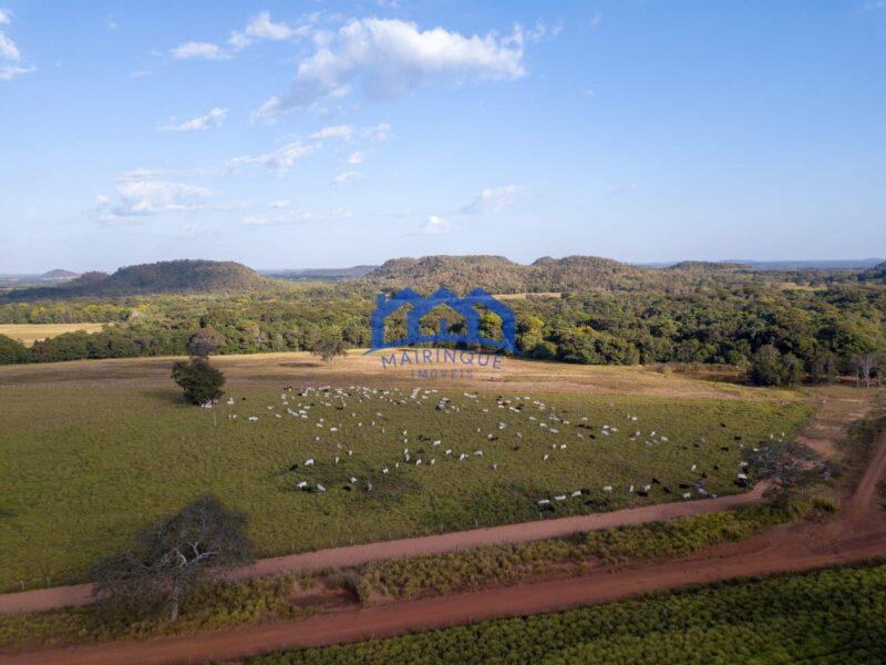 Sitio/Fazenda à Venda, 7.800 alqueires por R$ 360.000.000 Cód. ch2261