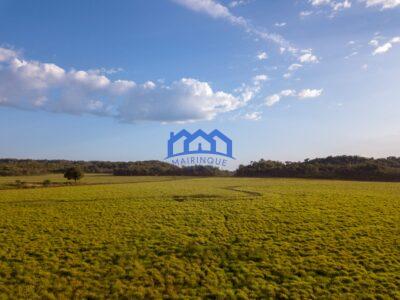 Sitio/Fazenda à Venda, 7.800 alqueires por R$ 360.000.000 Cód. ch2261