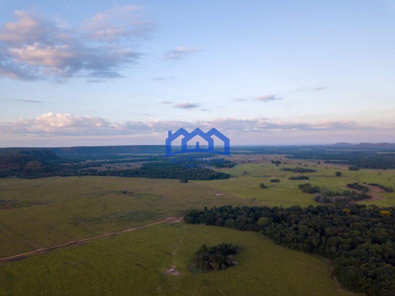 Sitio/Fazenda à Venda, 7.800 alqueires por R$ 360.000.000 Cód. ch2261