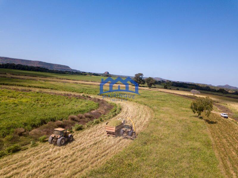 Sitio/Fazenda à Venda, 7.800 alqueires por R$ 360.000.000 Cód. ch2261