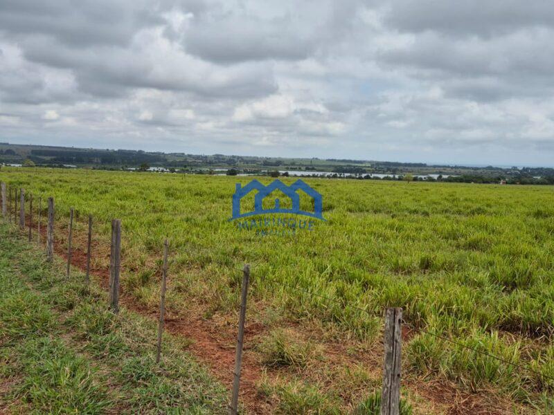 Sitio/Fazenda com 390 alqueires à Venda, por R$ 58.500.000 Cód. ch2263