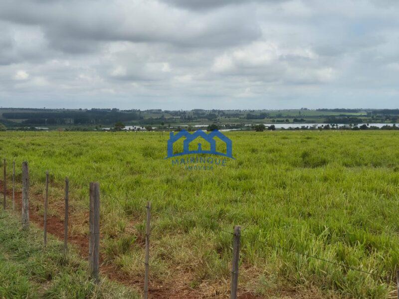 Sitio/Fazenda com 390 alqueires à Venda, por R$ 58.500.000 Cód. ch2263