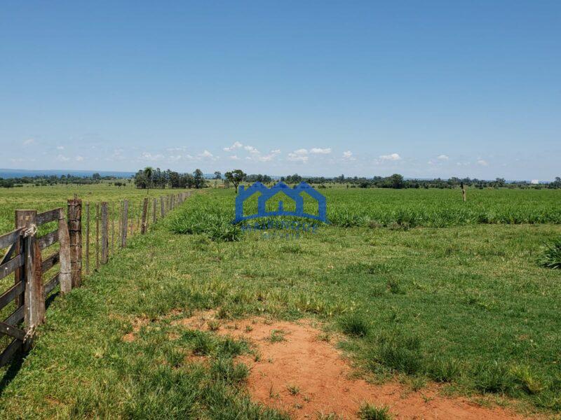 Sitio/Fazenda com 390 alqueires à Venda, por R$ 58.500.000 Cód. ch2263