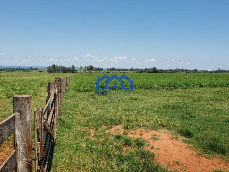 Sitio/Fazenda com 390 alqueires à Venda, por R$ 58.500.000 Cód. ch2263