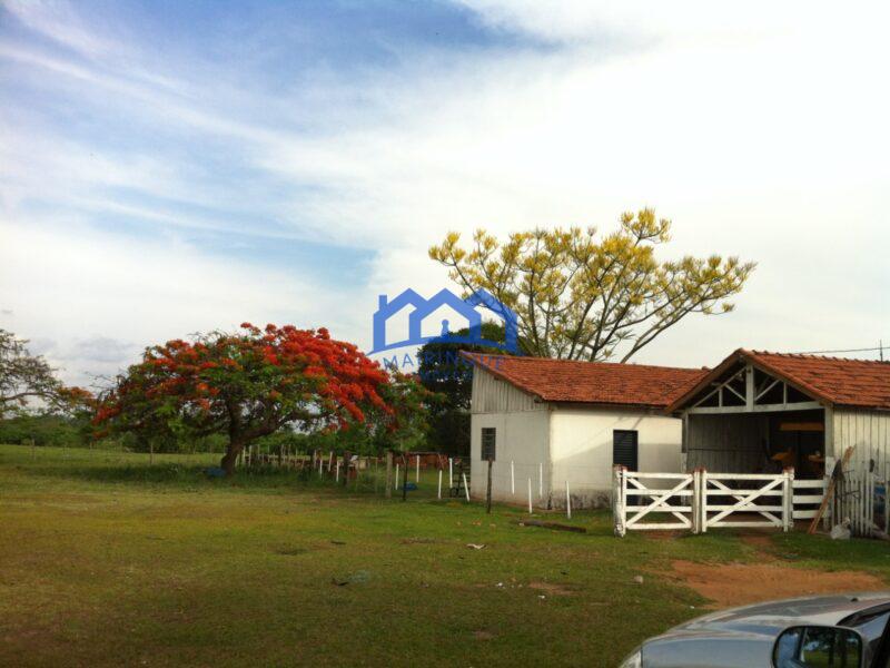 Sitio/Fazenda com 390 alqueires à Venda, por R$ 58.500.000 Cód. ch2263
