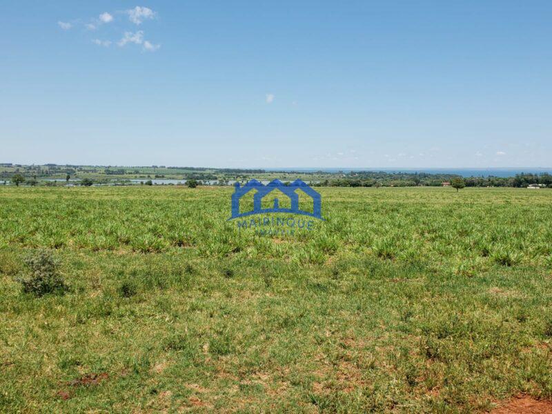 Sitio/Fazenda com 390 alqueires à Venda, por R$ 58.500.000 Cód. ch2263