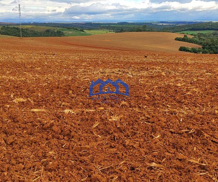 Sítio/Fazenda à Venda, 80 alqueires por R$ 24.000.000 Cód. ch2270