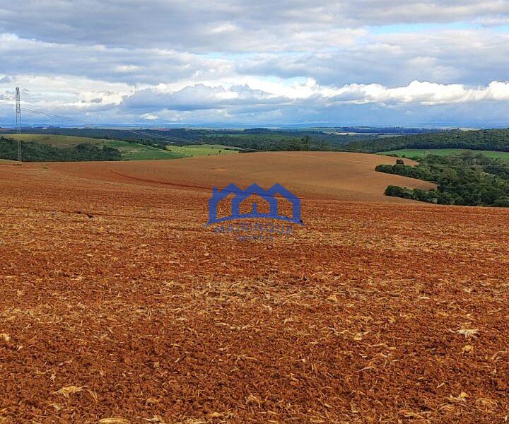 Sítio/Fazenda à Venda, 80 alqueires por R$ 24.000.000 Cód. ch2270