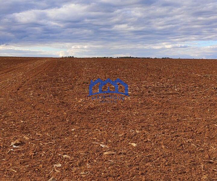 Sítio/Fazenda à Venda, 80 alqueires por R$ 24.000.000 Cód. ch2270