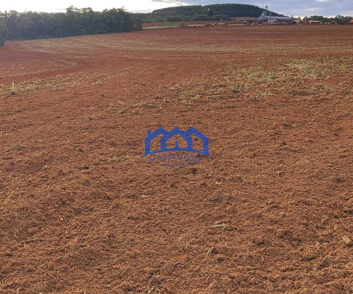 Sítio/Fazenda à Venda, 80 alqueires por R$ 24.000.000 Cód. ch2270