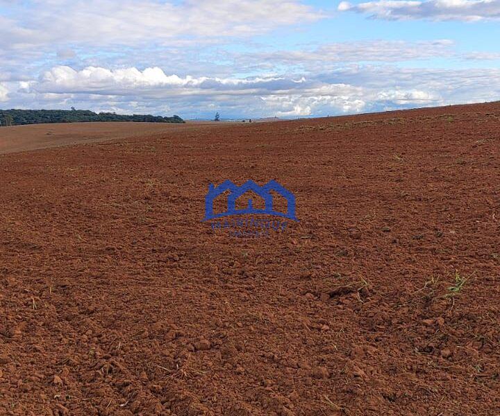 Sítio/Fazenda à Venda, 80 alqueires por R$ 24.000.000 Cód. ch2270