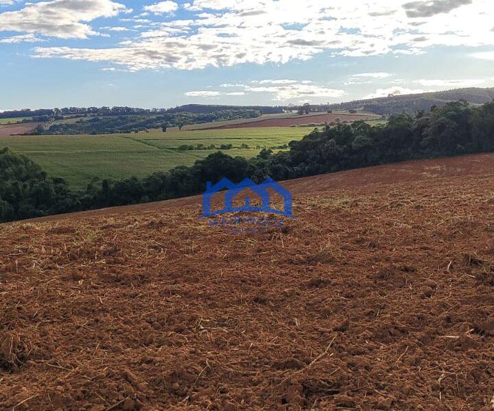 Sítio/Fazenda à Venda, 80 alqueires por R$ 24.000.000 Cód. ch2270