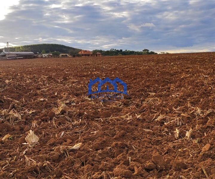 Sítio/Fazenda à Venda, 80 alqueires por R$ 24.000.000 Cód. ch2270