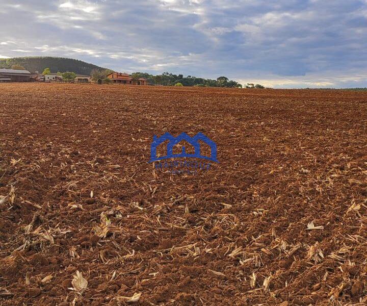Sítio/Fazenda à Venda, 80 alqueires por R$ 24.000.000 Cód. ch2270