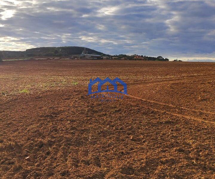 Sítio/Fazenda à Venda, 80 alqueires por R$ 24.000.000 Cód. ch2270