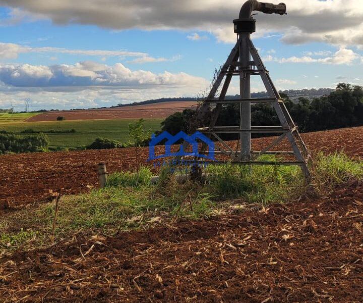 Sítio/Fazenda à Venda, 80 alqueires por R$ 24.000.000 Cód. ch2270