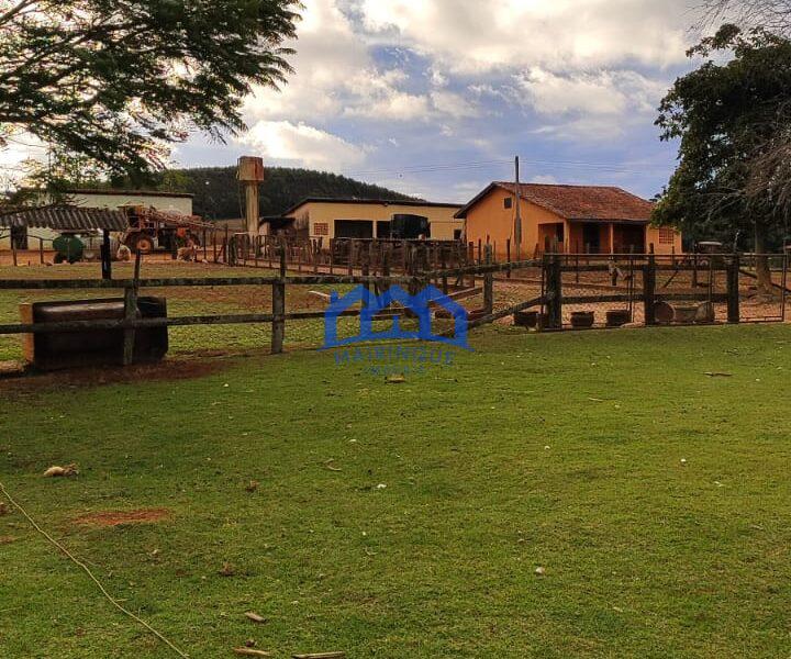 Sítio/Fazenda à Venda, 80 alqueires por R$ 24.000.000 Cód. ch2270