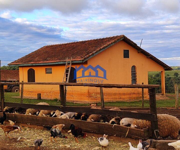 Sítio/Fazenda à Venda, 80 alqueires por R$ 24.000.000 Cód. ch2270