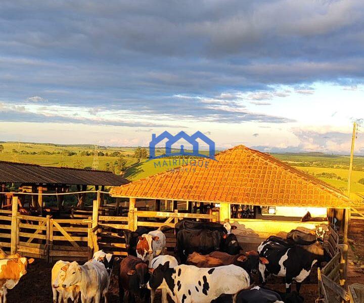 Sítio/Fazenda à Venda, 80 alqueires por R$ 24.000.000 Cód. ch2270