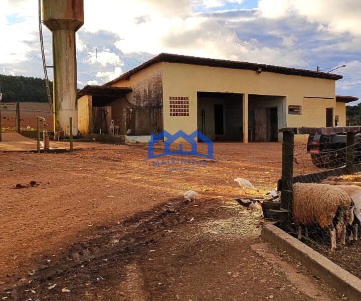 Sítio/Fazenda à Venda, 80 alqueires por R$ 24.000.000 Cód. ch2270