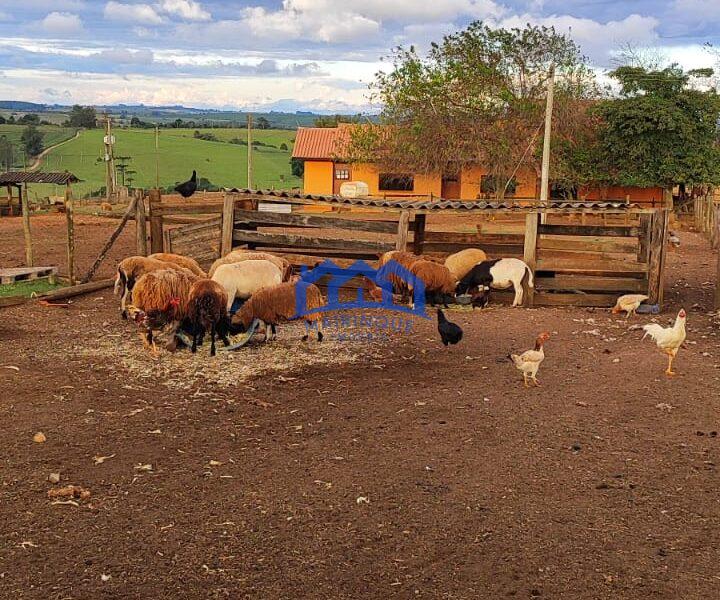 Sítio/Fazenda à Venda, 80 alqueires por R$ 24.000.000 Cód. ch2270