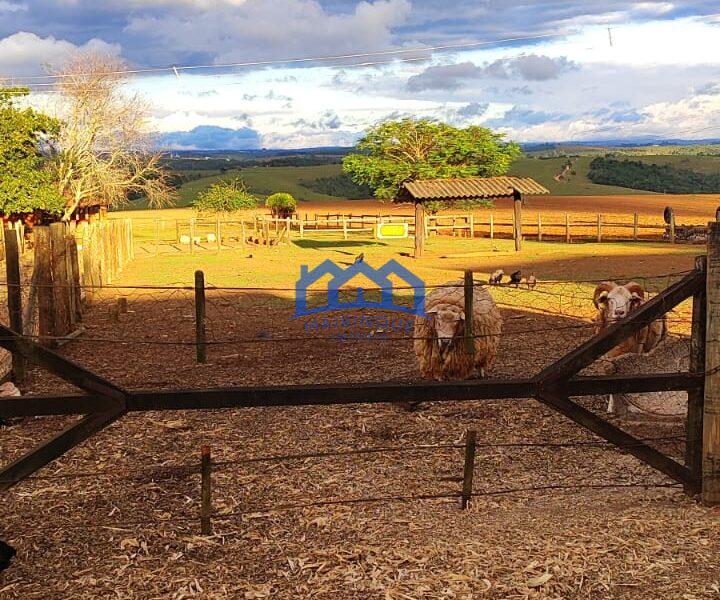 Sítio/Fazenda à Venda, 80 alqueires por R$ 24.000.000 Cód. ch2270