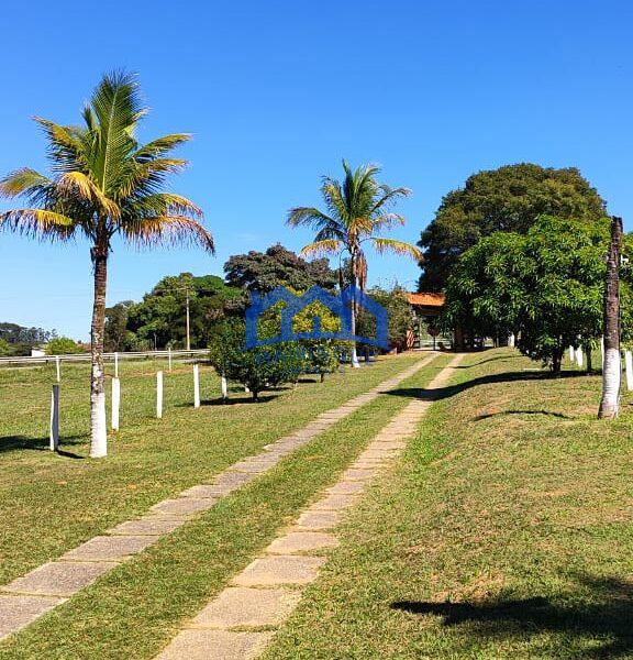 Sitio com 25.000 m² à Venda, por R$ 1.750.000 Cód. ch2274