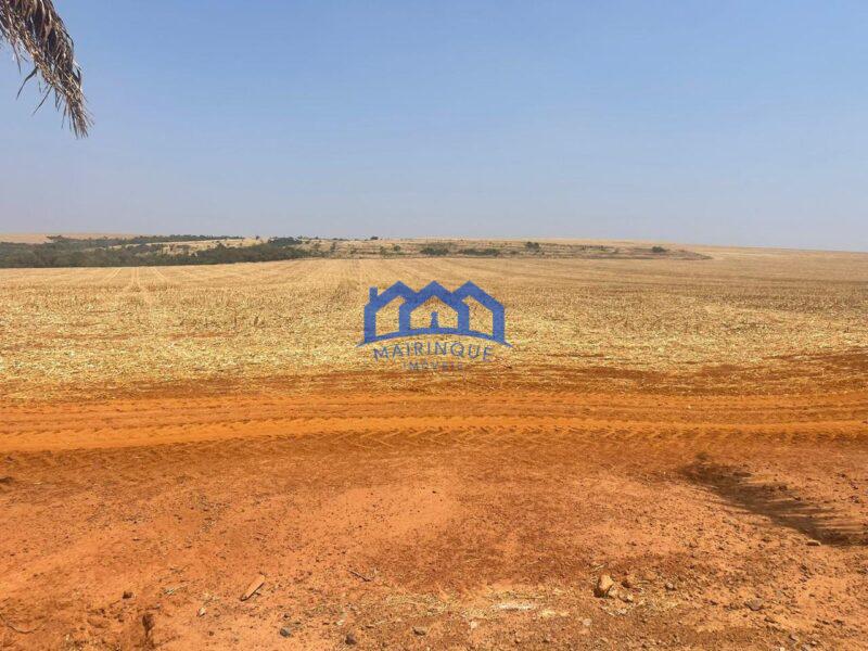 Sitio/Fazenda à Venda, 1.945,40 hectares por R$ 150.000.000 Cód. ch2275