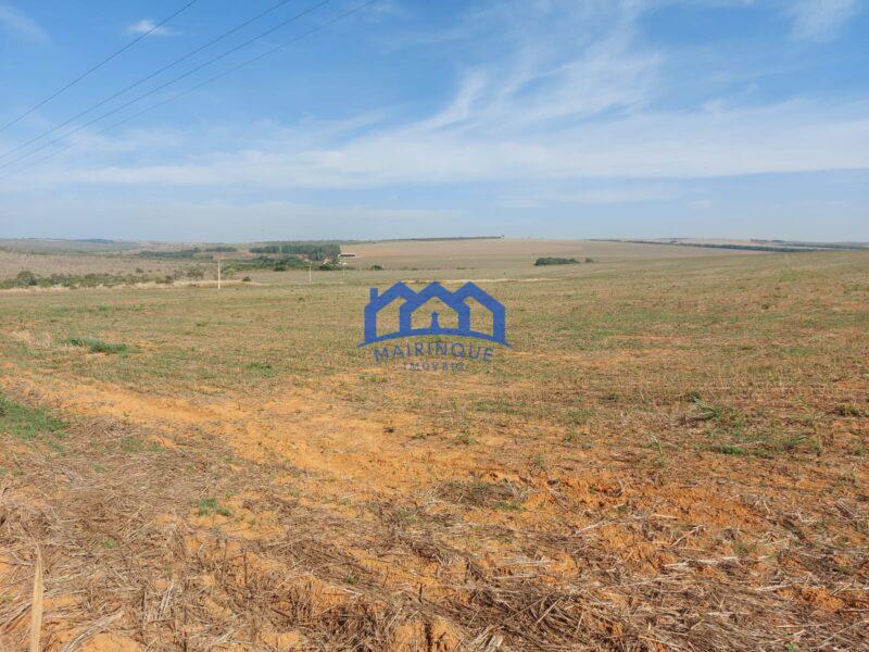 Sitio/Fazenda à Venda, 2.306 hectares por R$ 150.000.000 Cód. ch2276