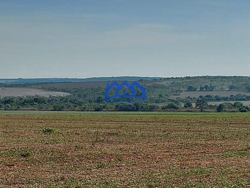 Sitio/Fazenda à Venda, 2.306 hectares por R$ 150.000.000 Cód. ch2276