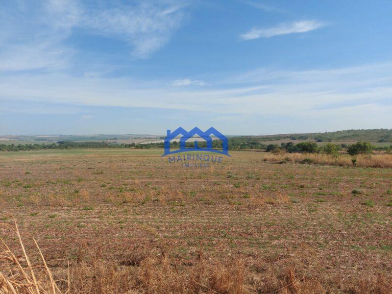 Sitio/Fazenda à Venda, 2.306 hectares por R$ 150.000.000 Cód. ch2276