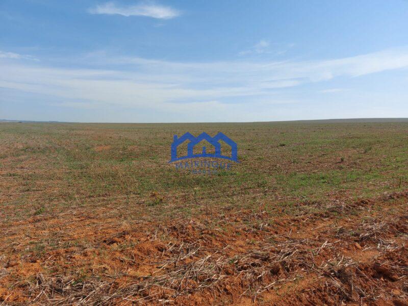 Sitio/Fazenda à Venda, 2.306 hectares por R$ 150.000.000 Cód. ch2276