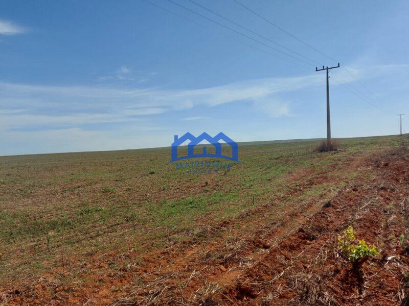 Sitio/Fazenda à Venda, 2.306 hectares por R$ 150.000.000 Cód. ch2276