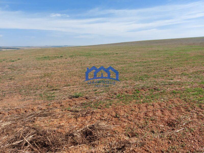 Sitio/Fazenda à Venda, 2.306 hectares por R$ 150.000.000 Cód. ch2276