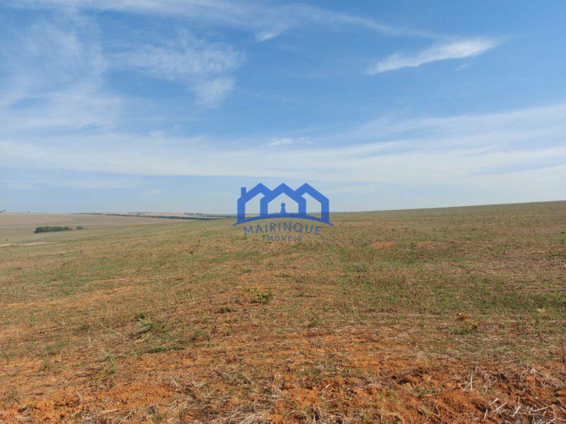 Sitio/Fazenda à Venda, 2.306 hectares por R$ 150.000.000 Cód. ch2276