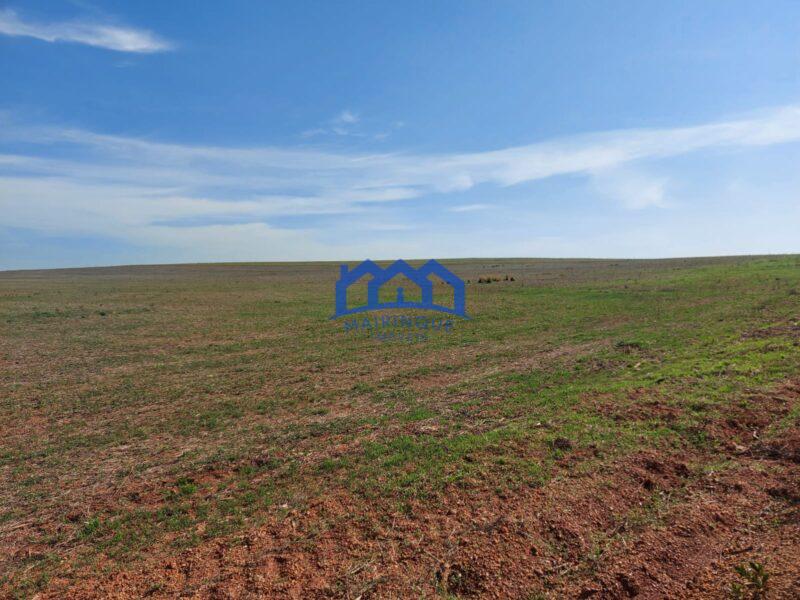 Sitio/Fazenda à Venda, 2.306 hectares por R$ 150.000.000 Cód. ch2276