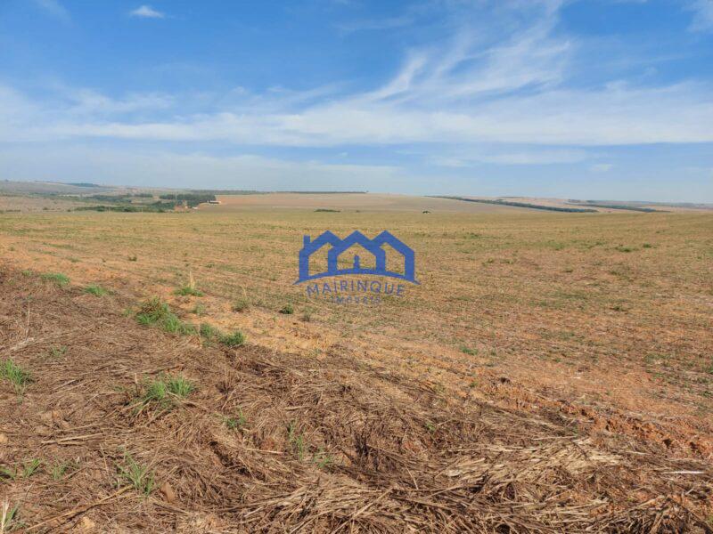 Sitio/Fazenda à Venda, 2.306 hectares por R$ 150.000.000 Cód. ch2276