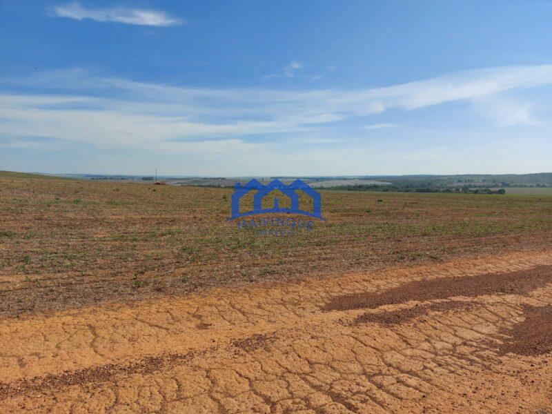 Sitio/Fazenda à Venda, 2.306 hectares por R$ 150.000.000 Cód. ch2276