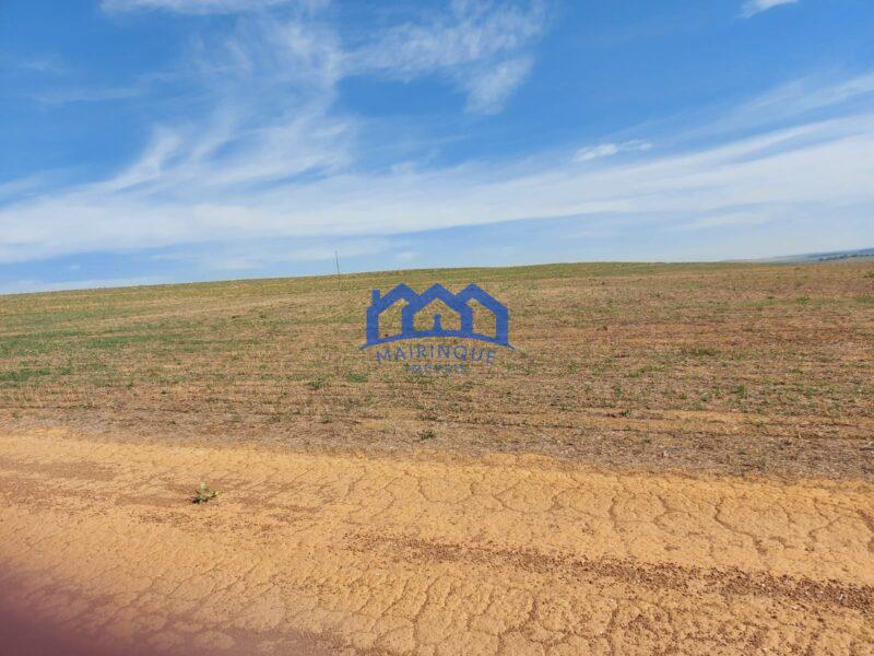 Sitio/Fazenda à Venda, 2.306 hectares por R$ 150.000.000 Cód. ch2276