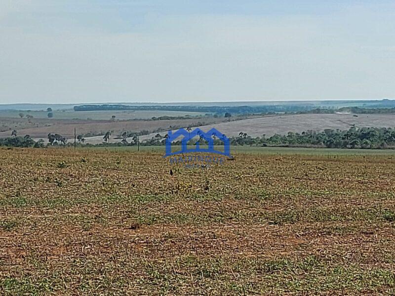 Sitio/Fazenda à Venda, 2.306 hectares por R$ 150.000.000 Cód. ch2276