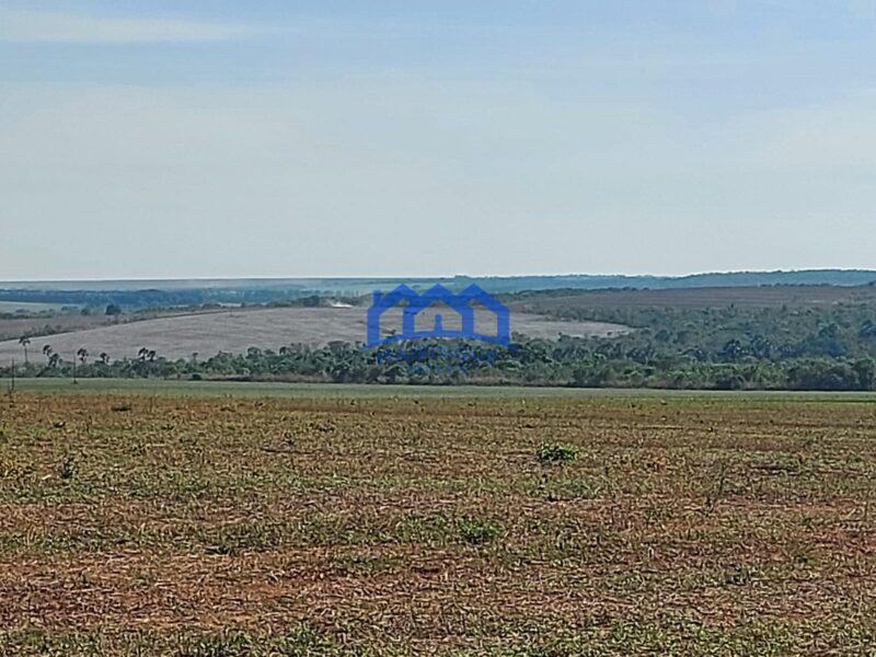 Sitio/Fazenda à Venda, 2.306 hectares por R$ 150.000.000 Cód. ch2276