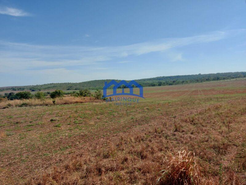 Sitio/Fazenda à Venda, 2.306 hectares por R$ 150.000.000 Cód. ch2276